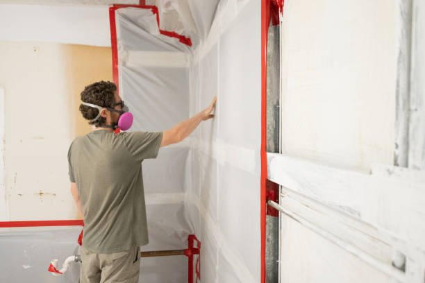 Best Mold Damage Restoration  in Dothan, AL