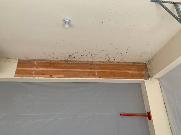 Best Post-Remediation Verification Testing  in Dothan, AL