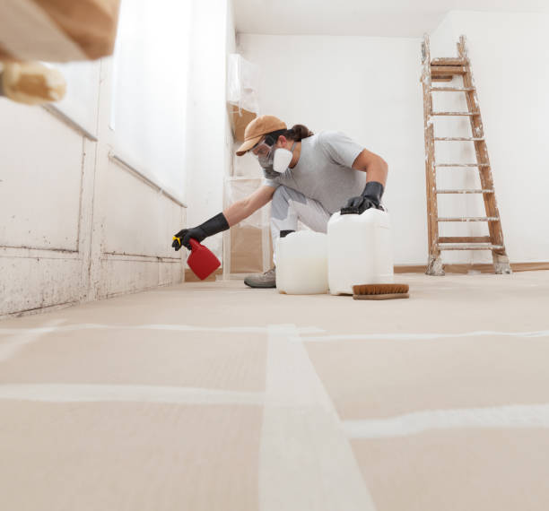 Best Water Damage & Mold Remediation  in Dothan, AL
